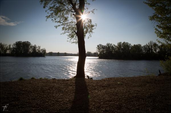 Evening about the Lake