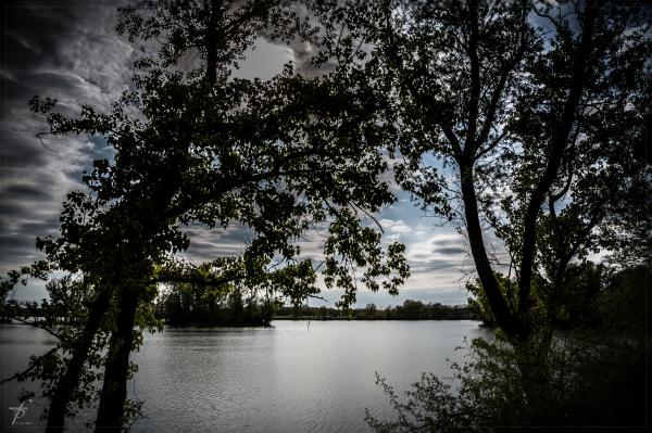 Evening about the Lake