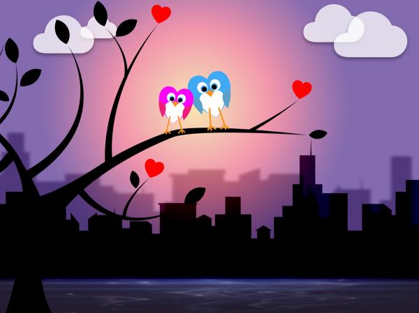 Evening City Shows Night Time And Nature
