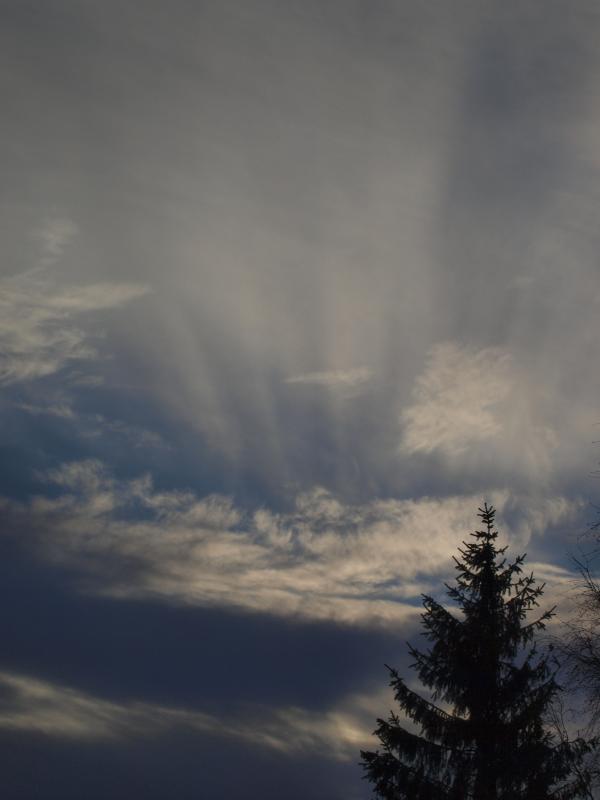 Evening sky