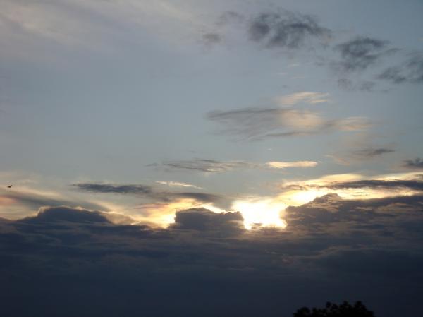 Evening Sky
