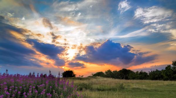 Evening sky