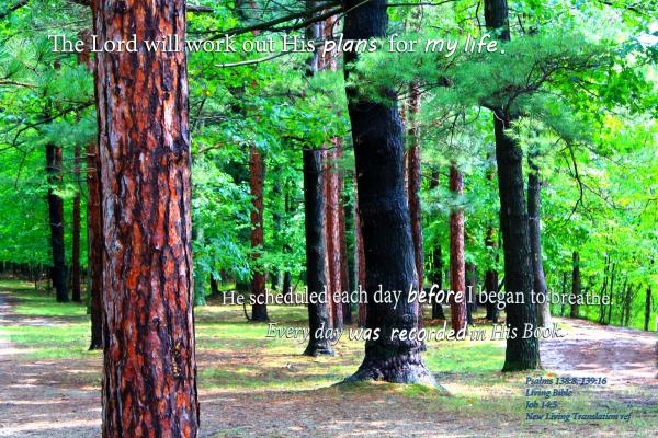 Every Day Was Recorded