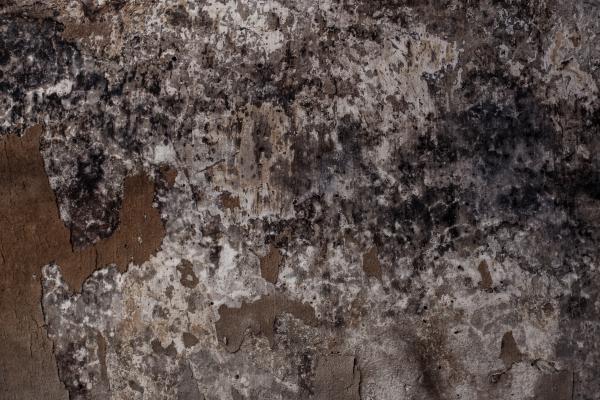 Extreme Grungy Wall Surface