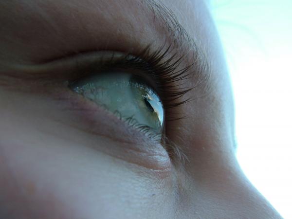 Eye