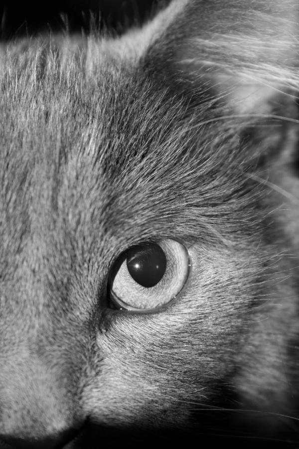 Eye of the beholder