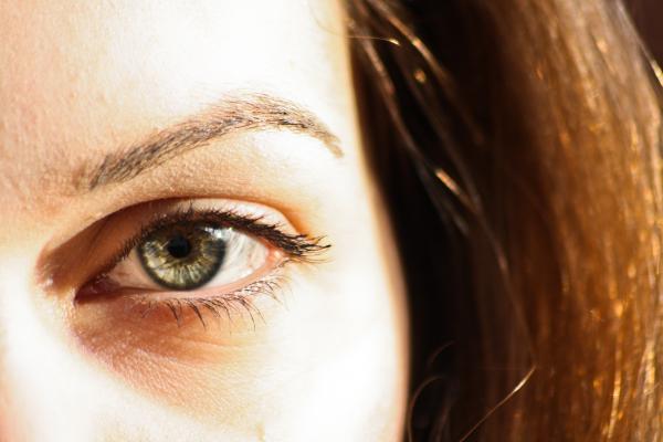 Eye of the Tigress