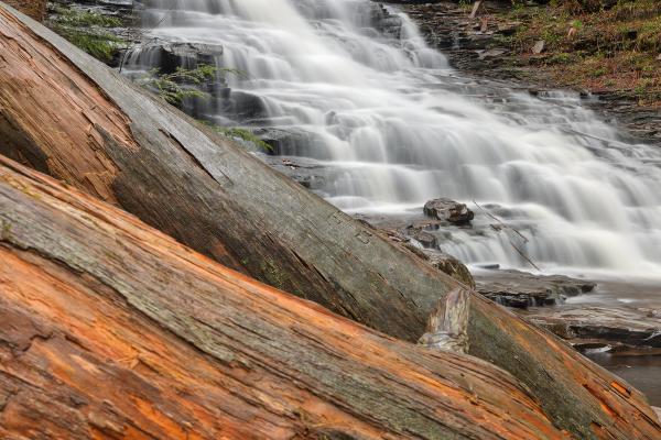 F.L. Ricketts Log Falls - HDR