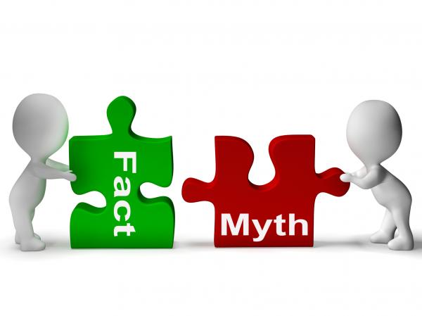 Fact Myth Puzzle Shows Facts Or Mythology