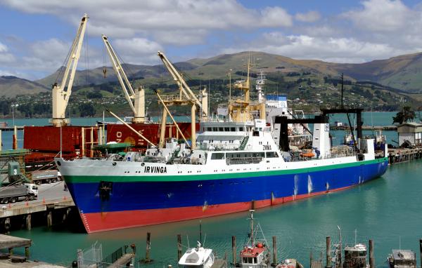 Factory Trawler "Irvinga"