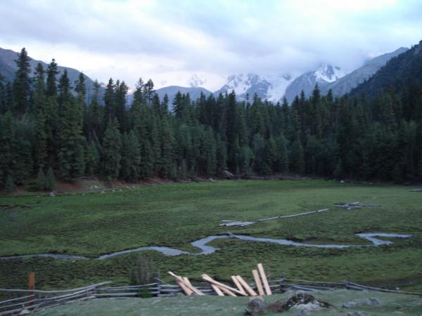 Fairy Meadow
