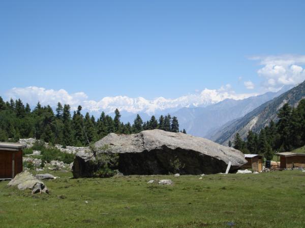 Fairy Meadows