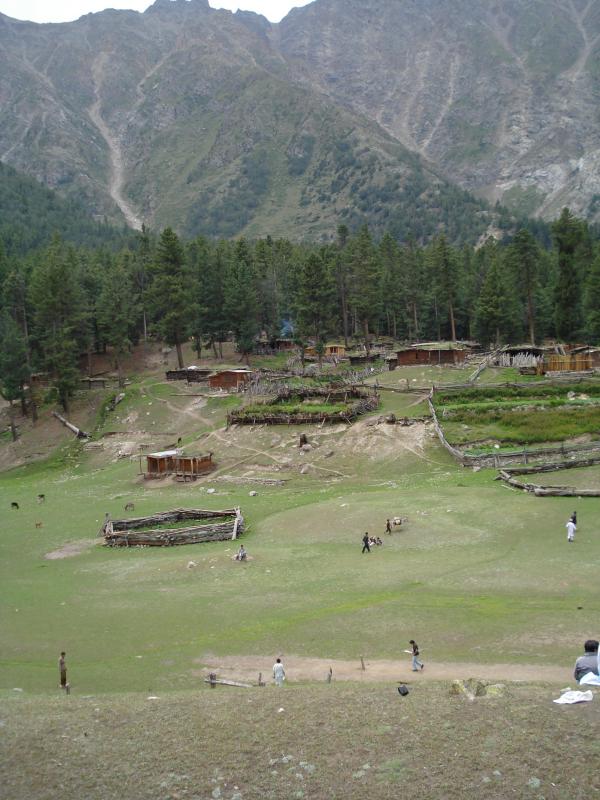 Fairy meadows
