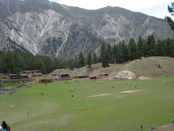 Fairy meadows