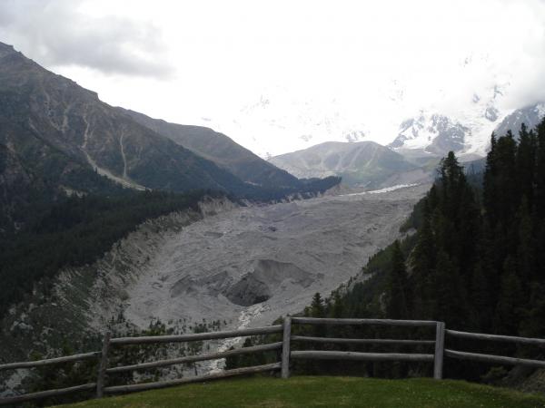 Fairy meadows