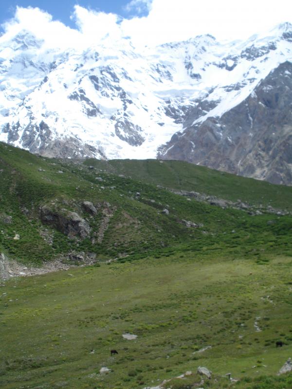 Fairy Meadows