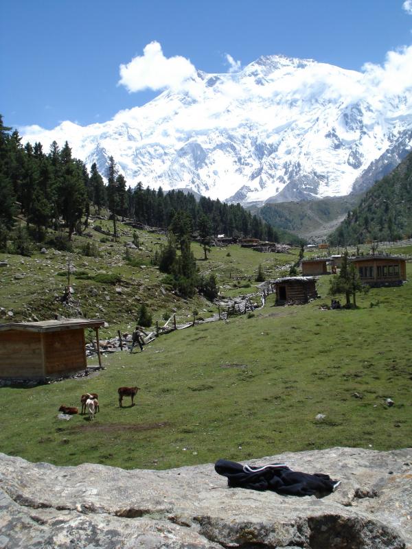 Fairy Meadows