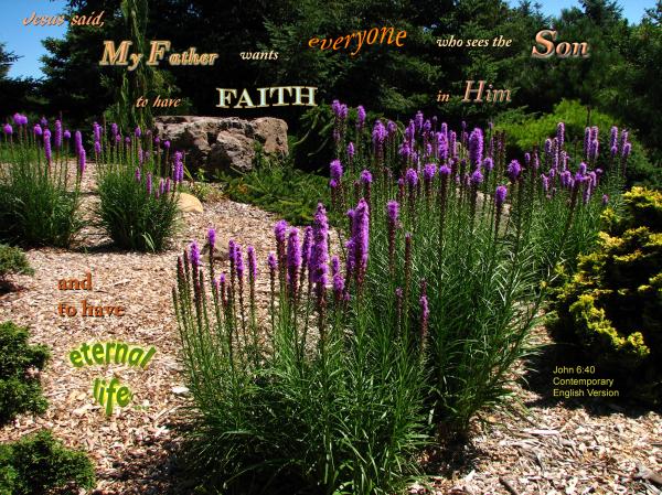 Faith in the Son of God