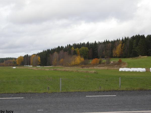 Fall 2008 in Sweden
