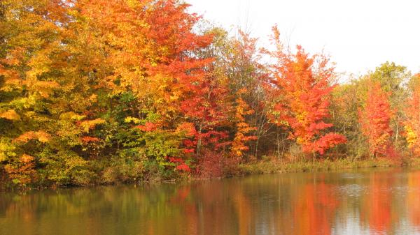 Fall