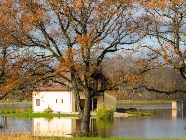 Fall and too much rain. A little floods