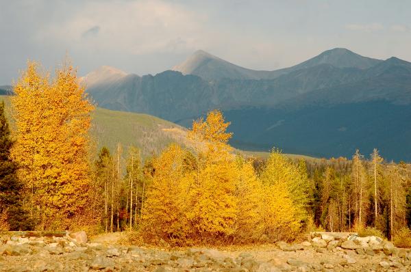 Fall Foliage with Mountains
