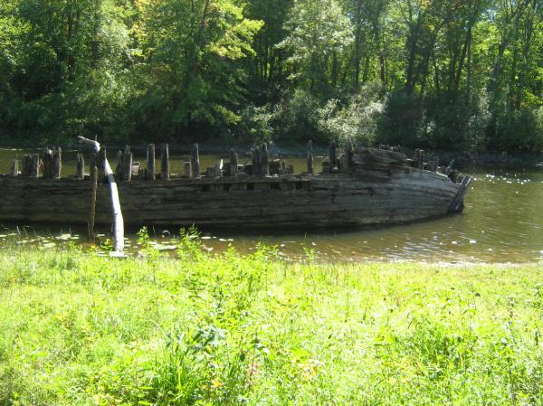Fall Forest Shipwreck