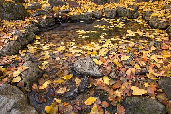 Fall Fountain Pond - HDR