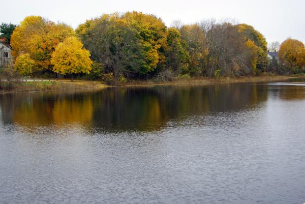 Fall Landscape