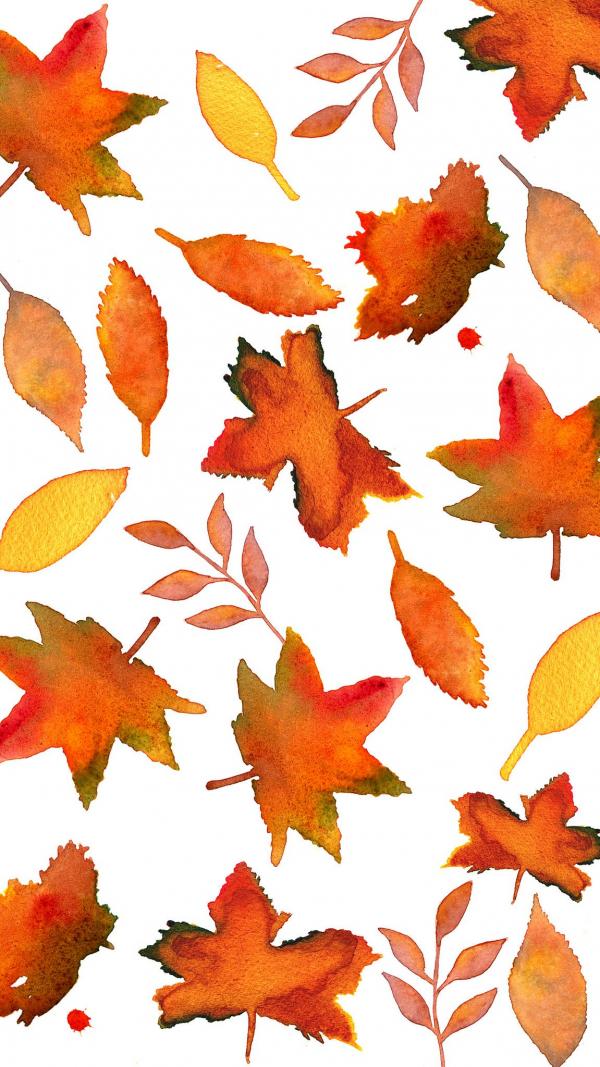 Fall leaf