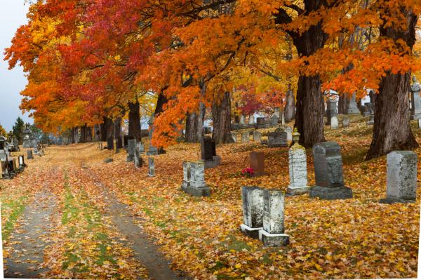 Fall season