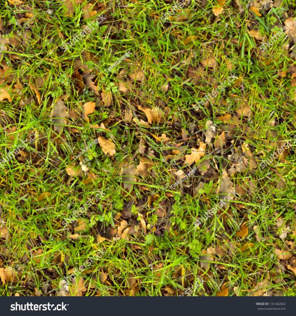 Fallen Grass Texture