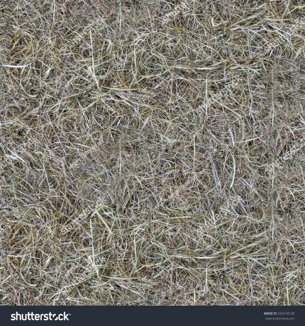 Fallen Straws Texture
