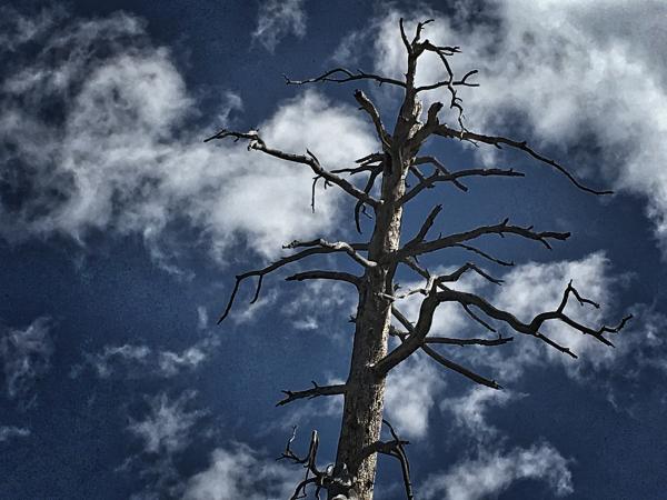 Falling Against the Sky