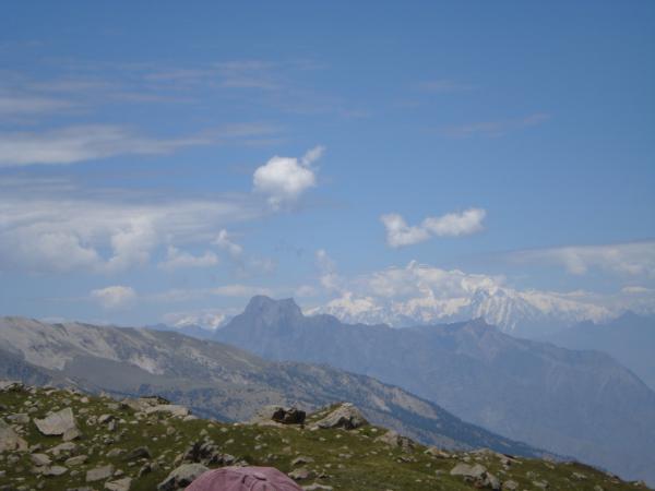 Fariy Meadows