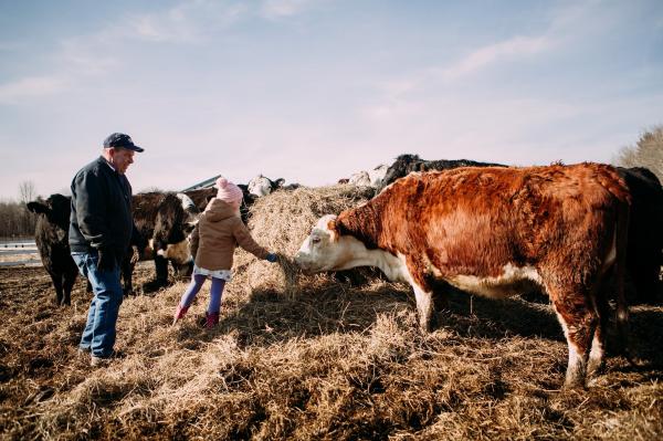 Farm Life