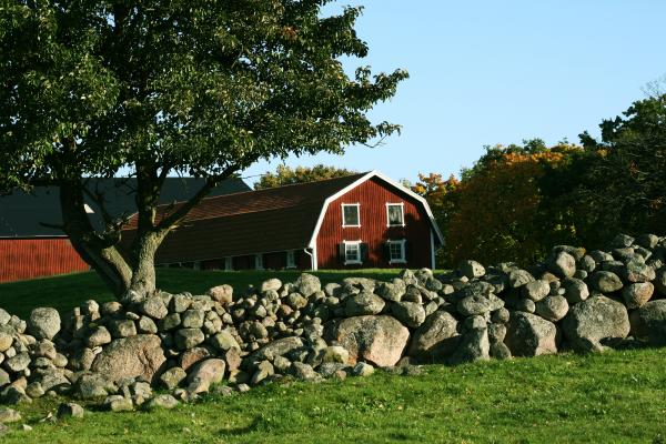 Farm Nature