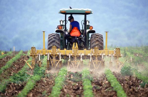 Farmer on tractor