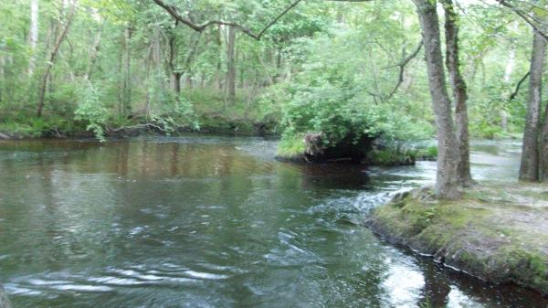 Fast Moving Stream