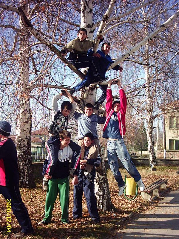 Favourite tree of boys