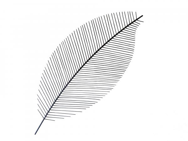 Feather - Abstract Art