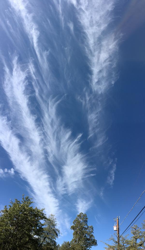 Feather in the Sky