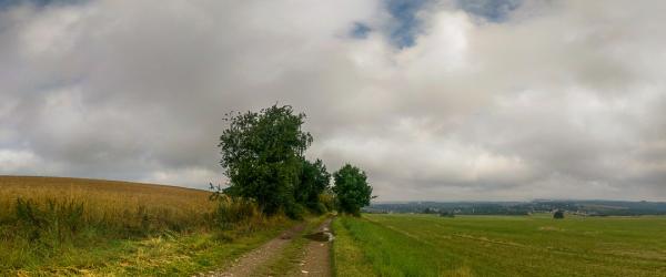 Feldweg nach Niederwiesa