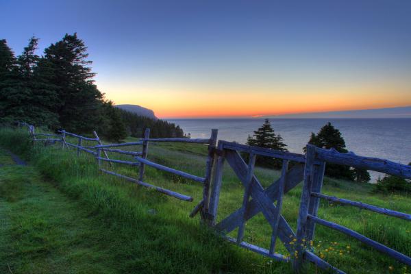Fence