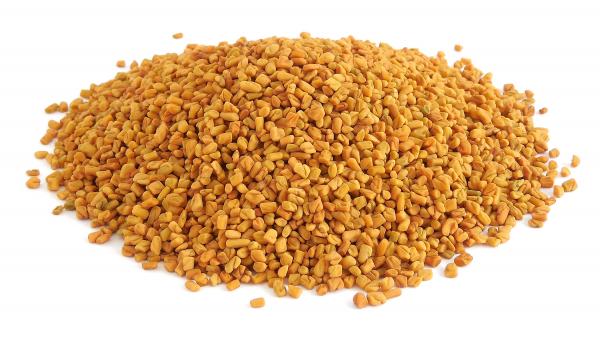 Fenugreek