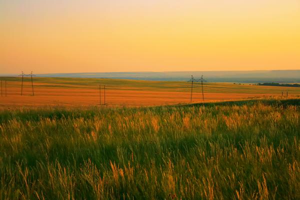field