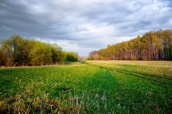 field