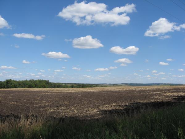 Field and sky