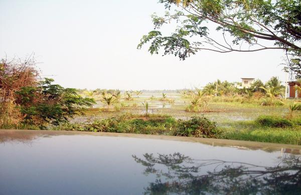 Field Landscape with Water