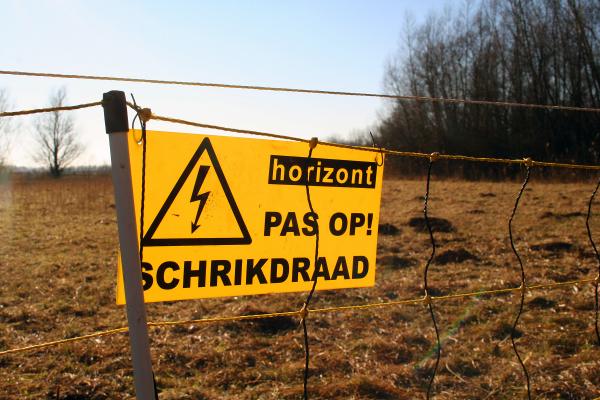 Field with electrical fence